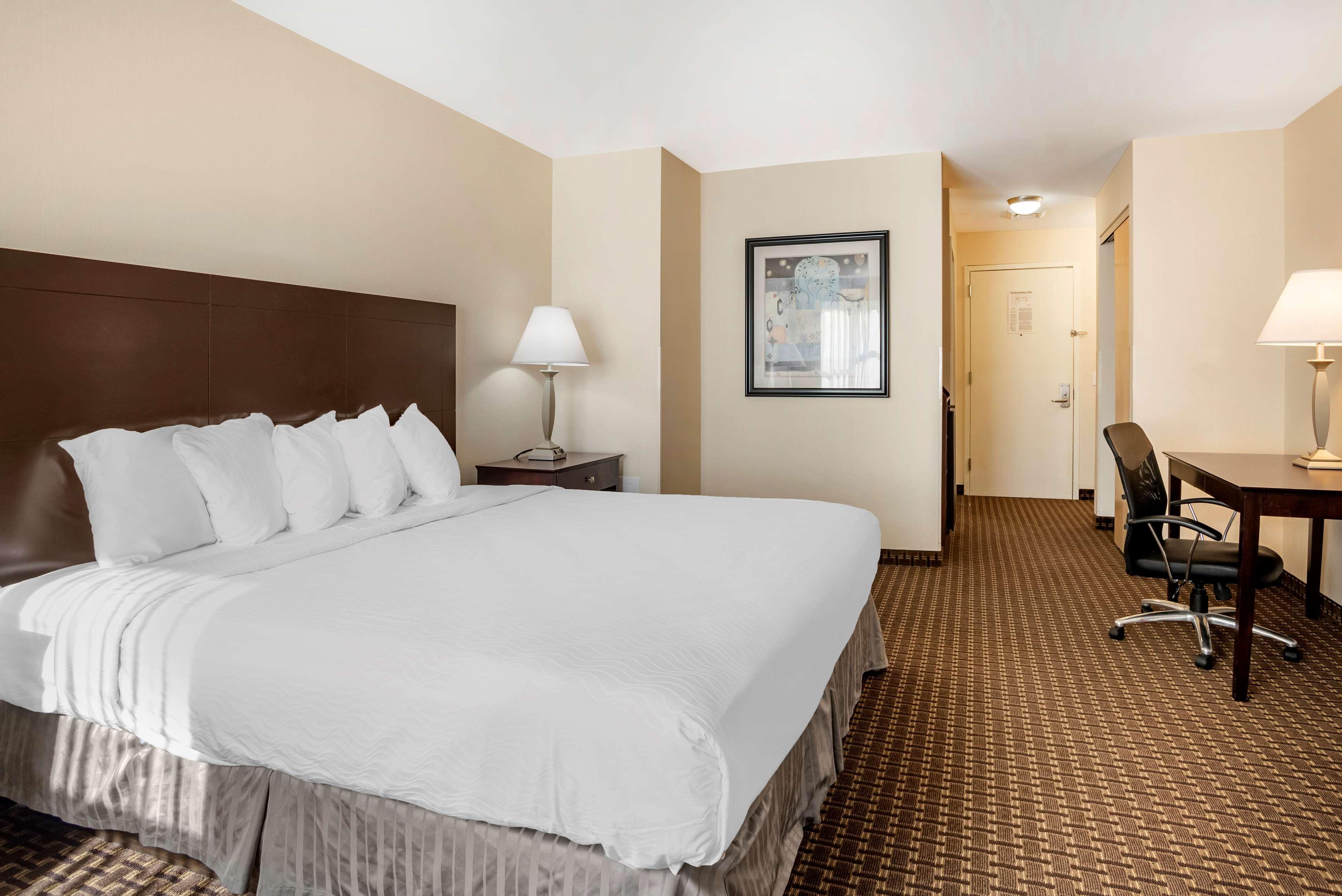 Best Western Plus Philadelphia Airport South - At Widener University Chester Buitenkant foto