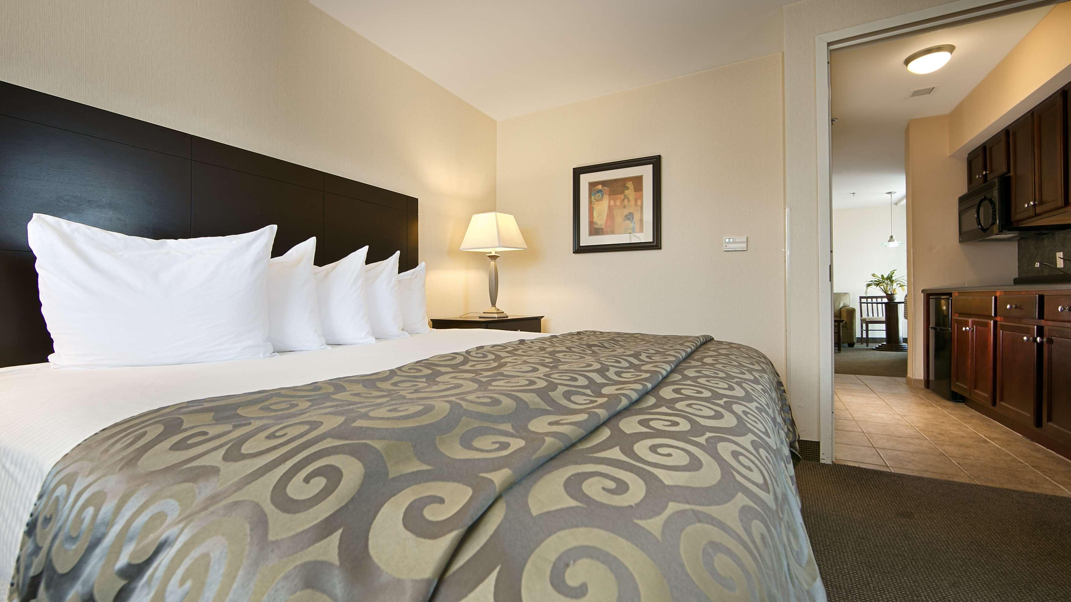 Best Western Plus Philadelphia Airport South - At Widener University Chester Buitenkant foto
